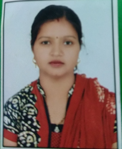 Chemistry professor conducting laboratory research